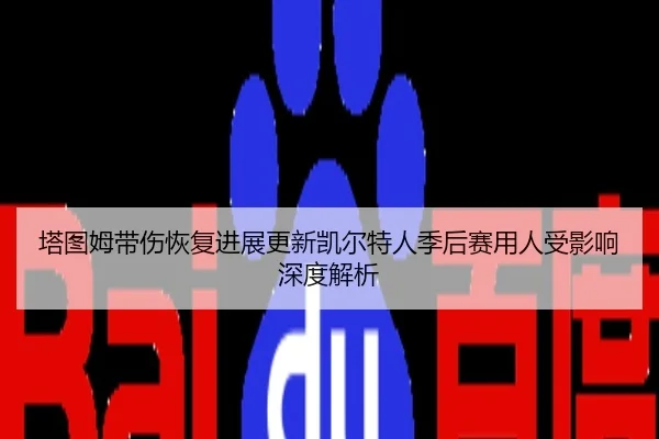 塔图姆带伤恢复进展更新凯尔特人季后赛用人受影响深度解析